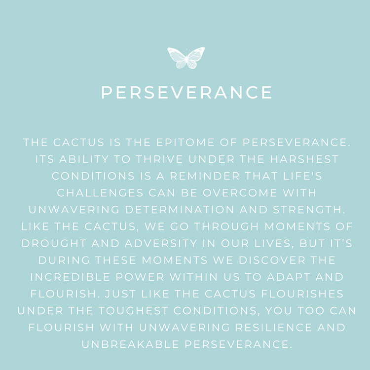 Perseverance - Cactus Cuff Bracelet - Jewmei